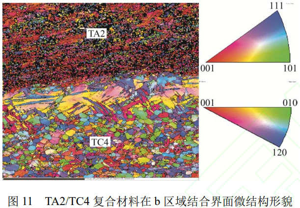 TA2/TC4鈦合金層狀復合板爆炸焊接-軋制制備及其界面微觀結構表征與力學性能評價
